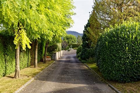 Allée arborée menant à la maison à Dommartin-lès-Remiremont